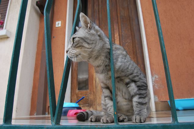 E all'improvviso.. 2