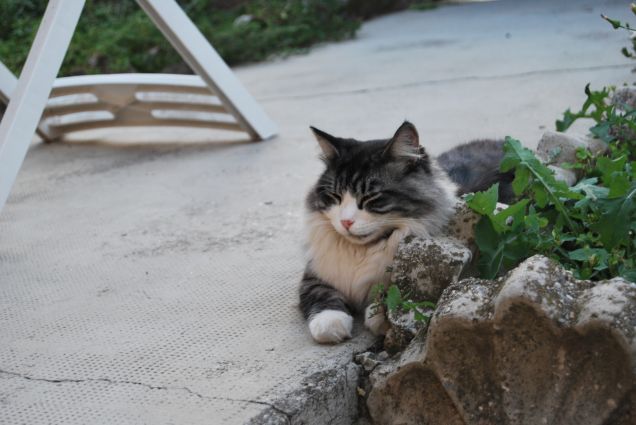 Vicino allo stendino