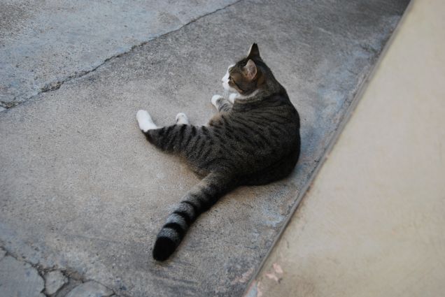 Mille scene per poi lasciarsi cadere come un sacco di patate