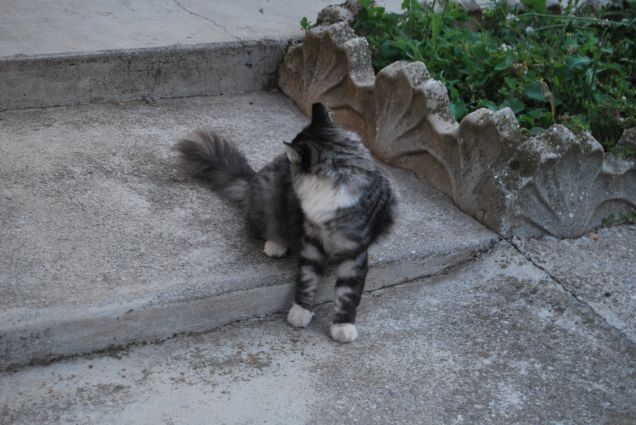 Posizioni comode ne abbiamo?