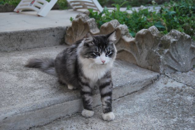 Posizioni comode ne abbiamo? 2