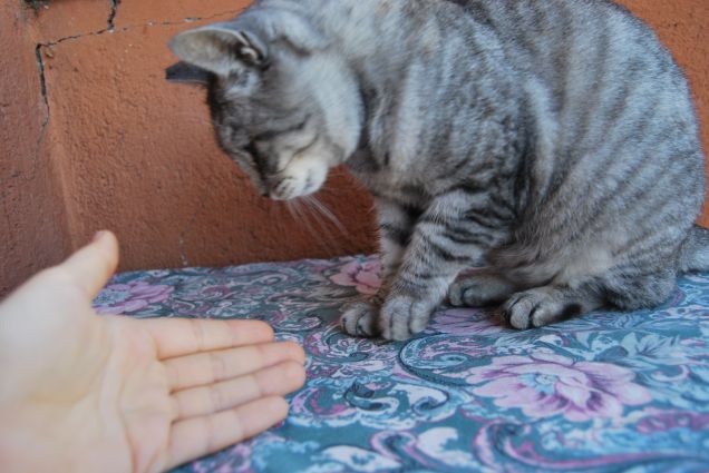 E' iniziata un po' così 