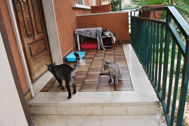 La colonia sul balcone