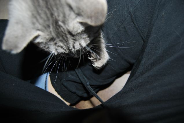 Giocando con il laccio dei pantaloni