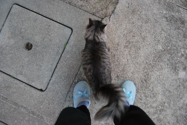 Lo zig zag dell'amore