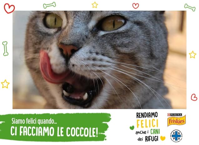 La vita che mi hai regalato