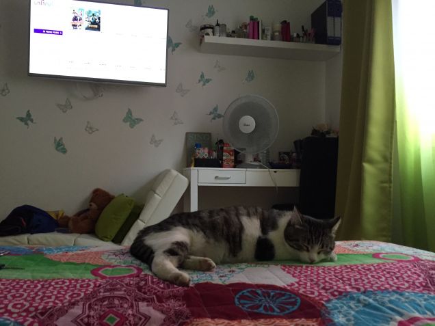 Ci vuole un po' di fresco!!