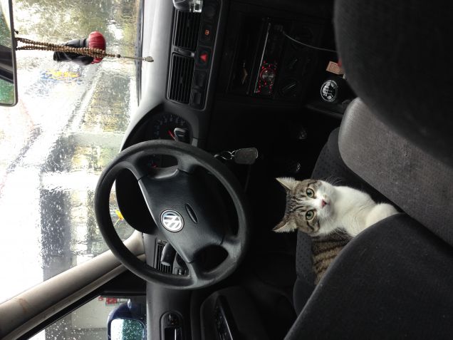 Non c'è nessuno come te