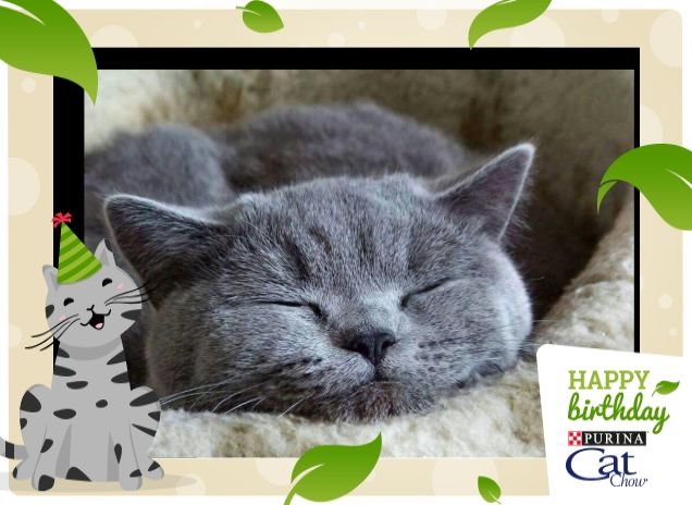 Il mio amore dormiglione