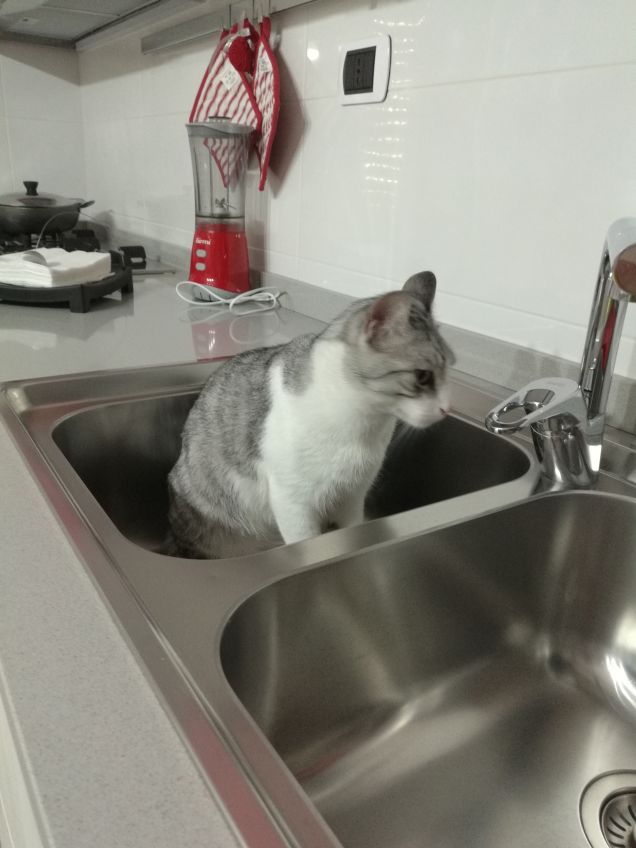 Quando fa caldo, fa caldo 