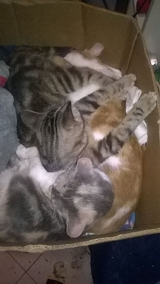 Nanna tutti insieme...