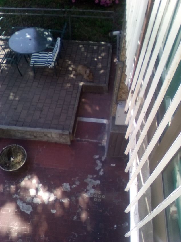 Mamma che guarda il suo bimbo 