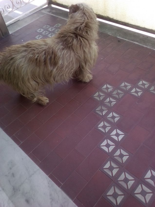 Vediamo un po' chi c'è in giro 