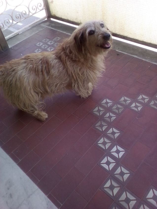 Mamma vieni a curiosare insieme a me? 