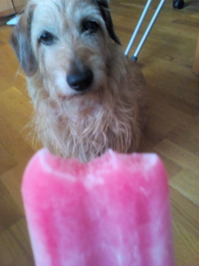 È vero che dividi il ghiacciolo con me? 