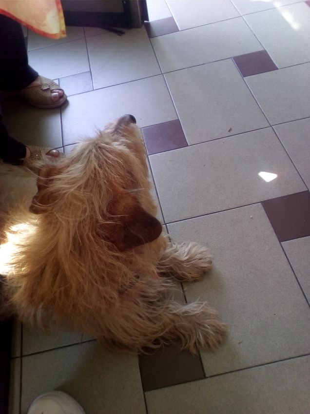 È bello poter andare al bar tutti insieme 