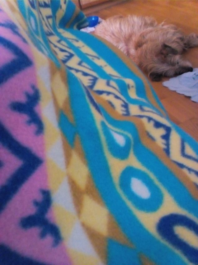 Venerdì pomeriggio noi così 