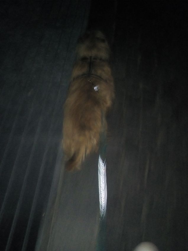 Passeggiata serale in mezzo al vento 