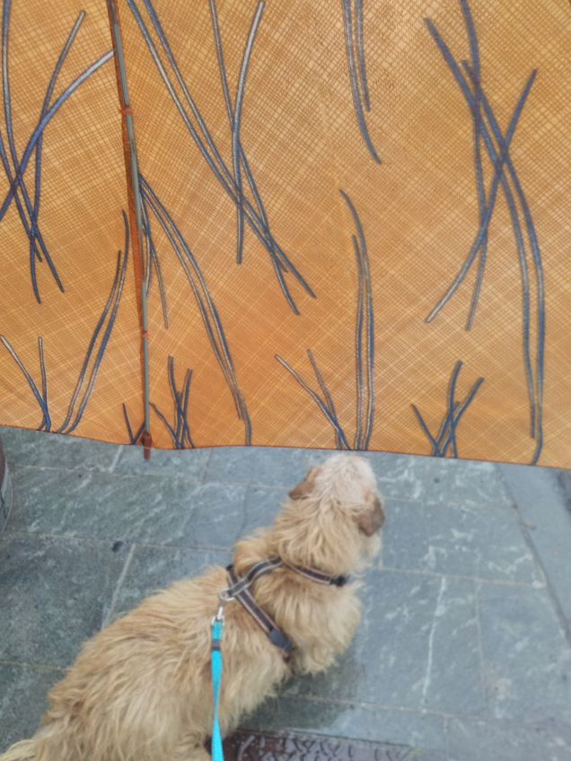 Come è bello passeggiare con l'ombrello 