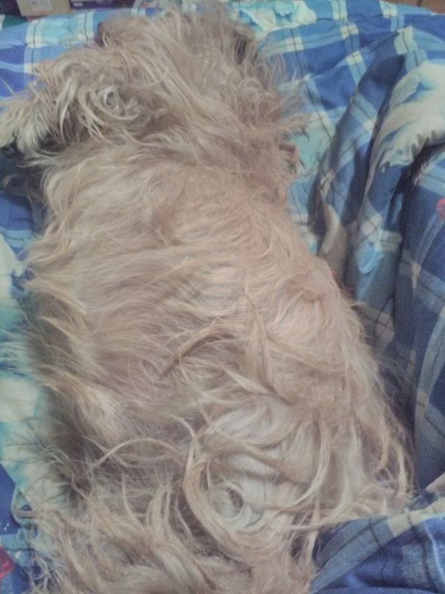 Noi sempre vicini vicini 