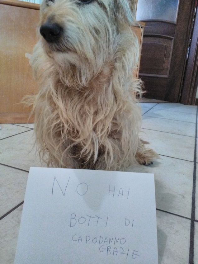 Lucky dice no hai botti di capodanno per lui e tuti i suoi amici 