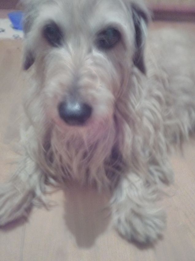 Lucky il mio infermiere di fiducia 