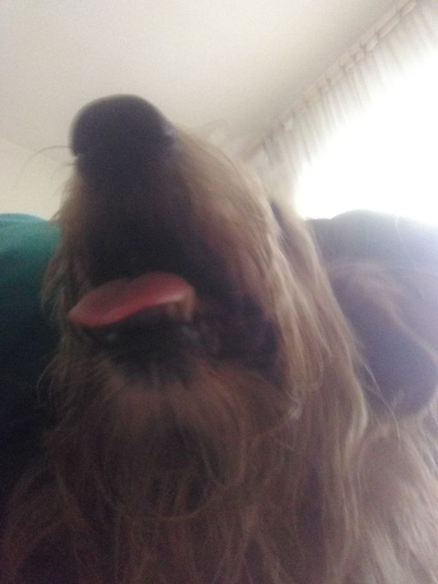 Il selfie di Lucky 