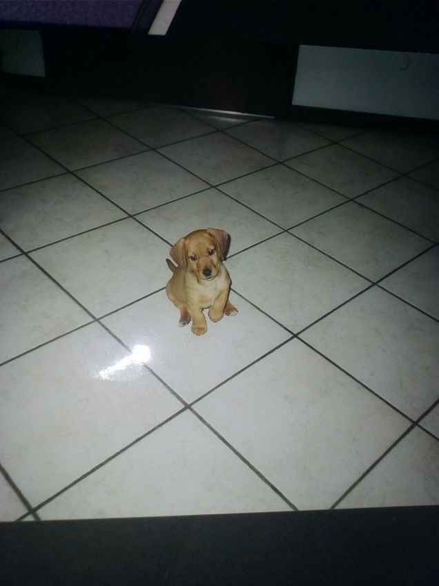 La prima volta a casa 