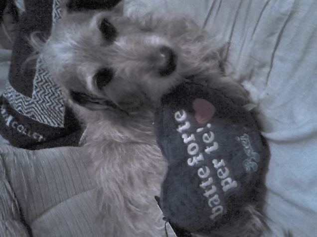 Lui é l'amore della mia vita 