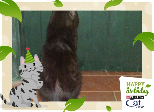 Severino, l'amore di casa