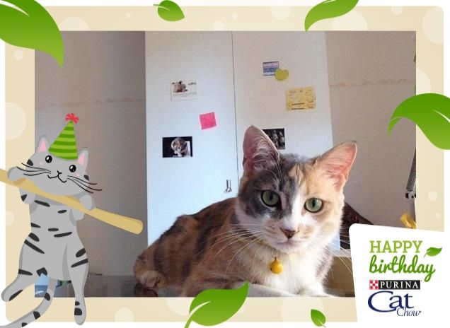 Faccia d'angelo ma sotto una diavoletta 