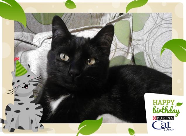 il riposo della guerriera