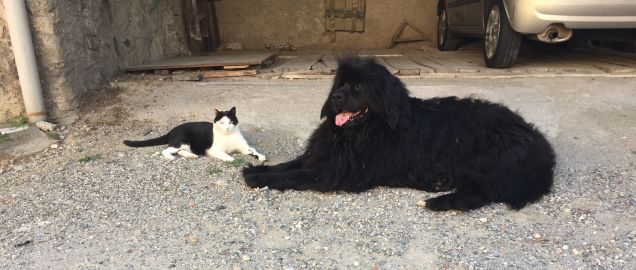 Insieme alla sorellina 