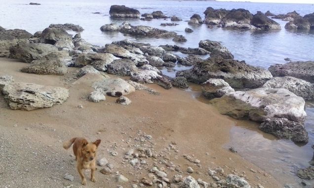 tipo da spiaggia