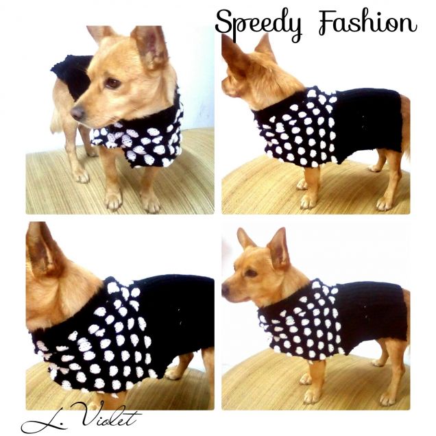 Speedy Fashion 