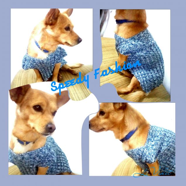 Speedy fashion in blu