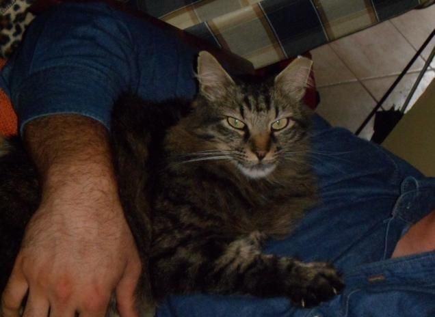 amore incondizionato