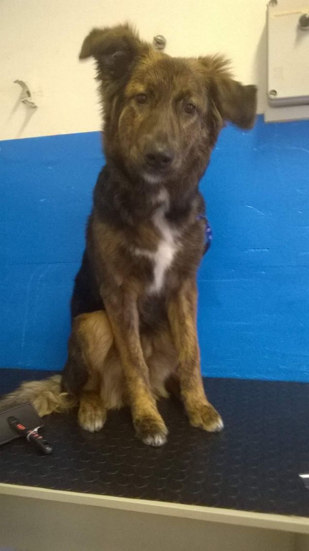 ho fatto il bagnetto!  