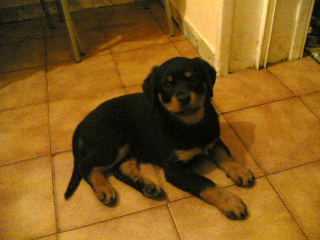 eri così piccola.......