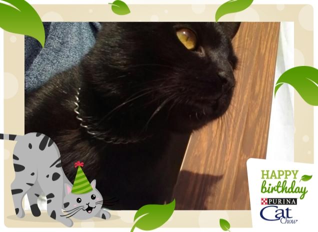 Un mondo da esplorare