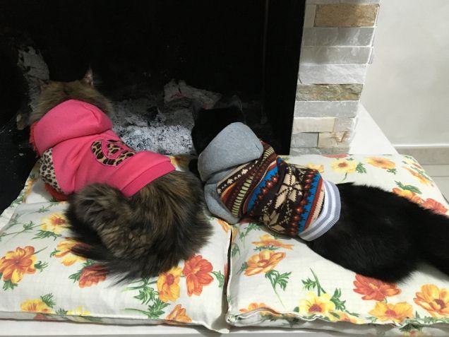 L'inverno...il fuoco... 