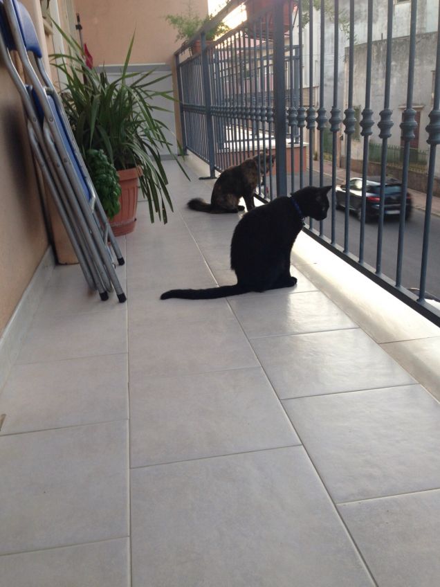 Pettegoli sul balcone