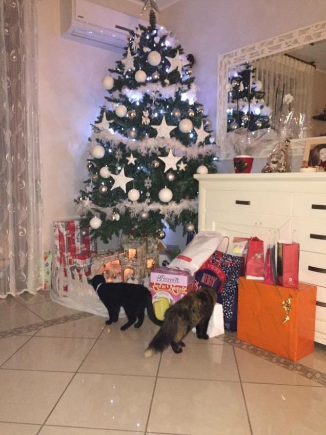 Natale con loro...