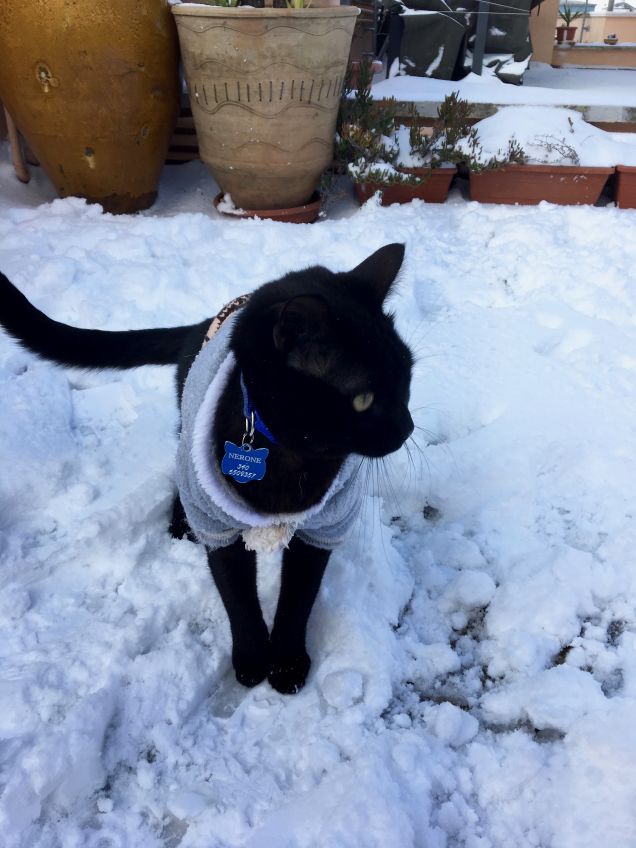 Nerone e la prima neve