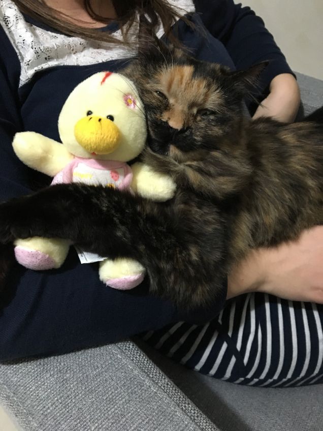 Trilly con il suo peluche