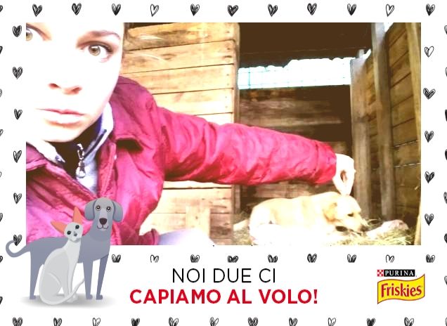 CI DIVERTIAMO CON POCO!!