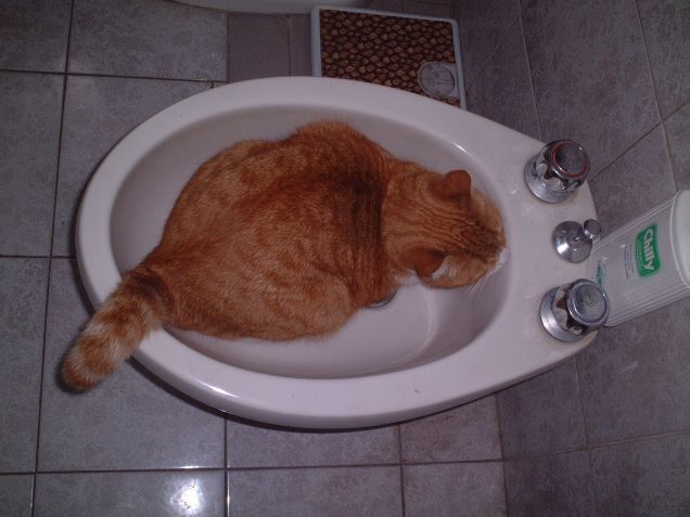 Che posto strano.... 