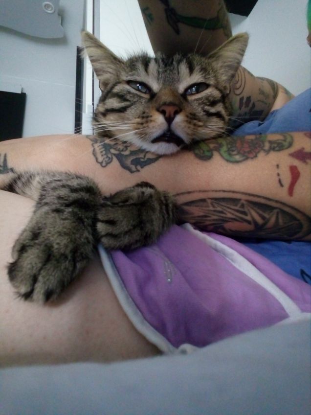  tra le braccia della mamma