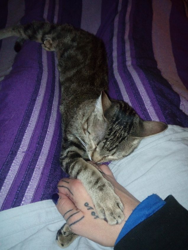 tengo sempre la mano della mamma