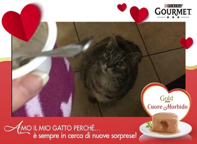 Mamma mi fai assaggiare lo yogurt?